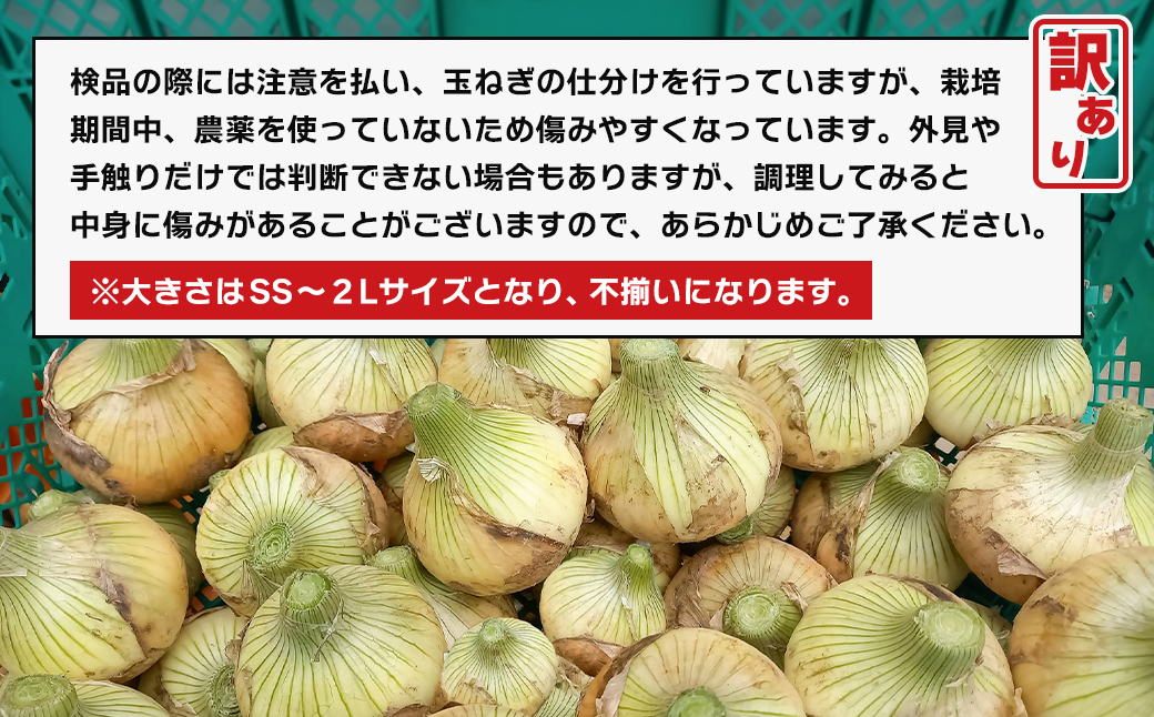 淡路島産 新玉ねぎ 10kg【栽培期間中、無農薬栽培】【訳あ