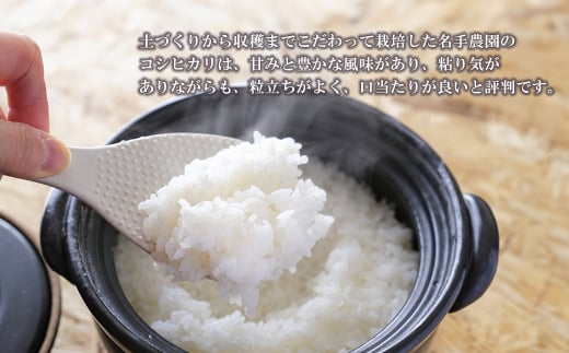 名手農園の淡路島産コシヒカリ 10kg　[精米 白米]