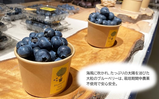 【淡路島産】大粒ブルーベリー 700g 冷凍生果《栽培期間中
