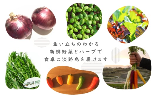 【定期便】彩り野菜と香るハーブセット　３回お届けセッ