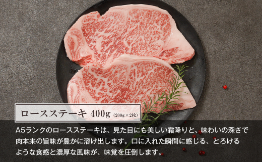 【定期便12ヶ月】【A5ランク限定】淡路島産黒毛和牛 贅沢定