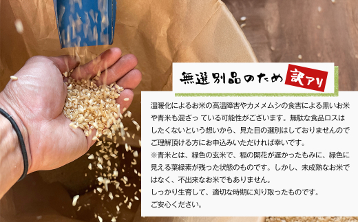 自然栽培　ひのひかり（玄米）　5kg 《無選別品のため訳ア