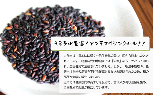 古代米（黒米）　希少！栽培期間中農薬・肥料不使用 1kg（5