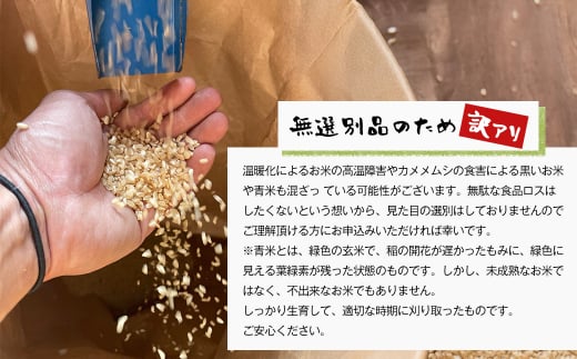 【定期便6ヶ月】自然栽培　コシヒカリ（玄米）　5kg 《無選