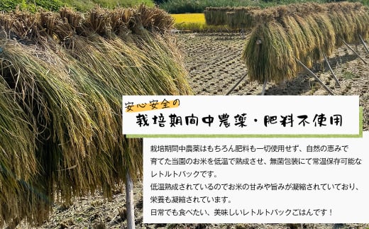 レトルトごはん（五穀玄米） 10パックセット 化学調味料無