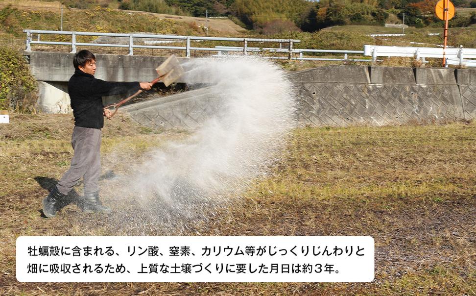 淡路島産玉ねぎオイスターラブ 10kg箱　たまねぎ