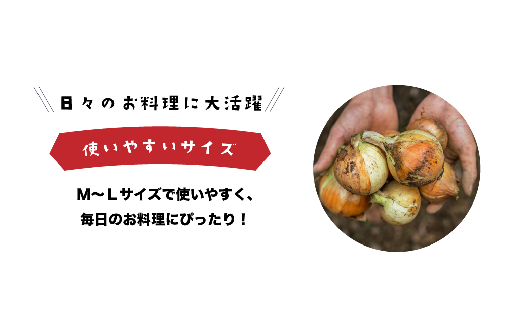 健幸農園の完熟淡路島産玉ねぎ 5kg　　[たまねぎ 産地直送 