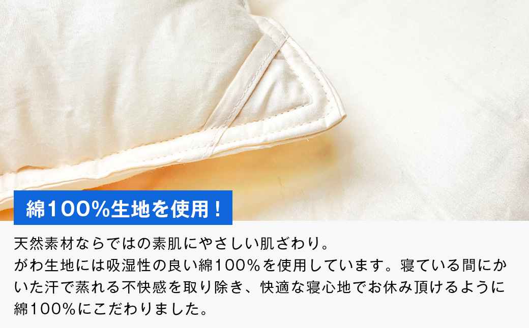 清潔掛ふとん 洗えるインビスタ シングル ツインキルト 増