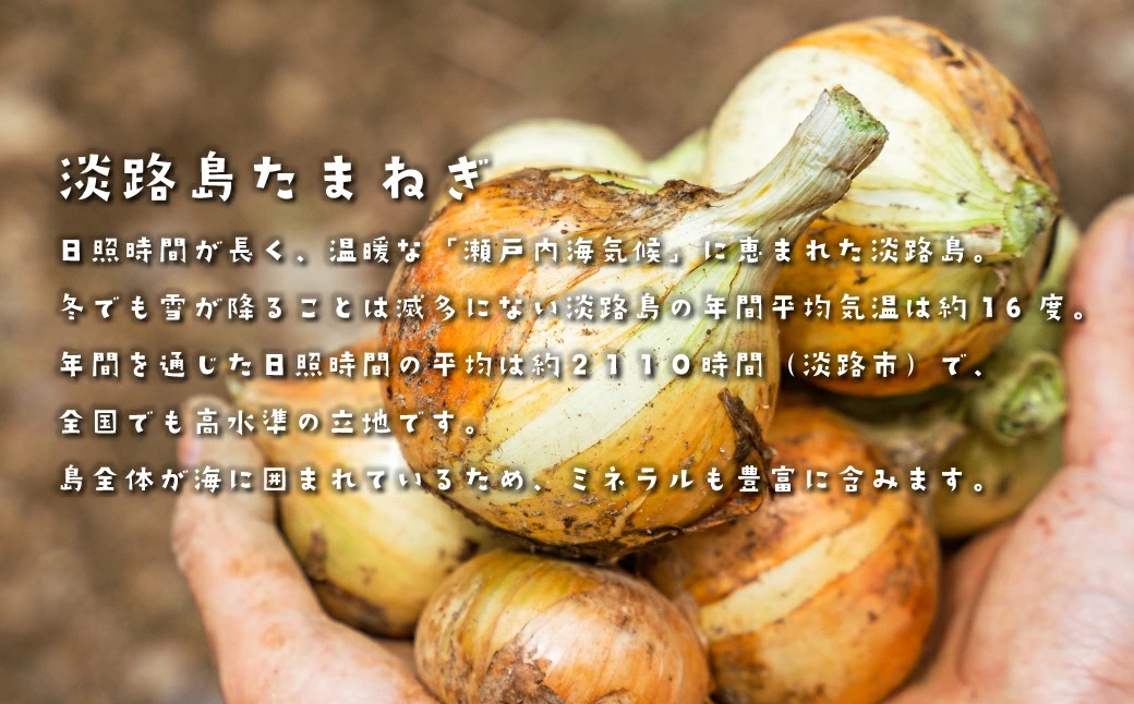 【訳あり】今井ファームの淡路島たまねぎ 10kg【サイズ混合