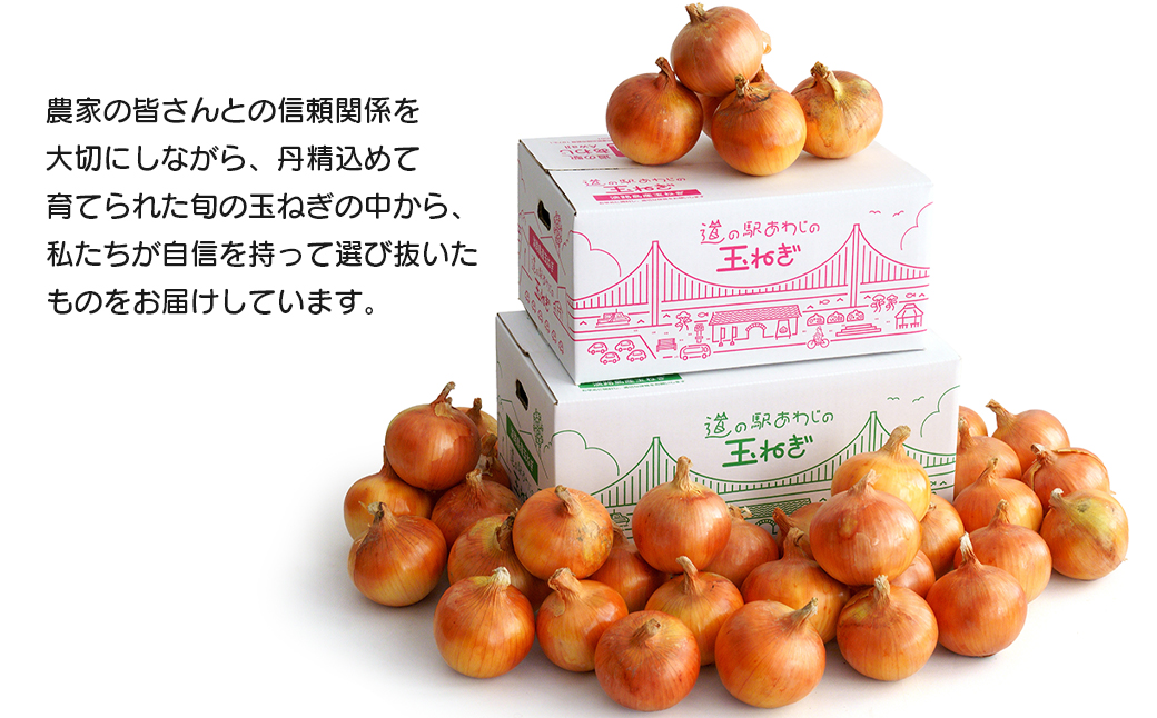 道の駅あわじの玉ねぎ10kg箱