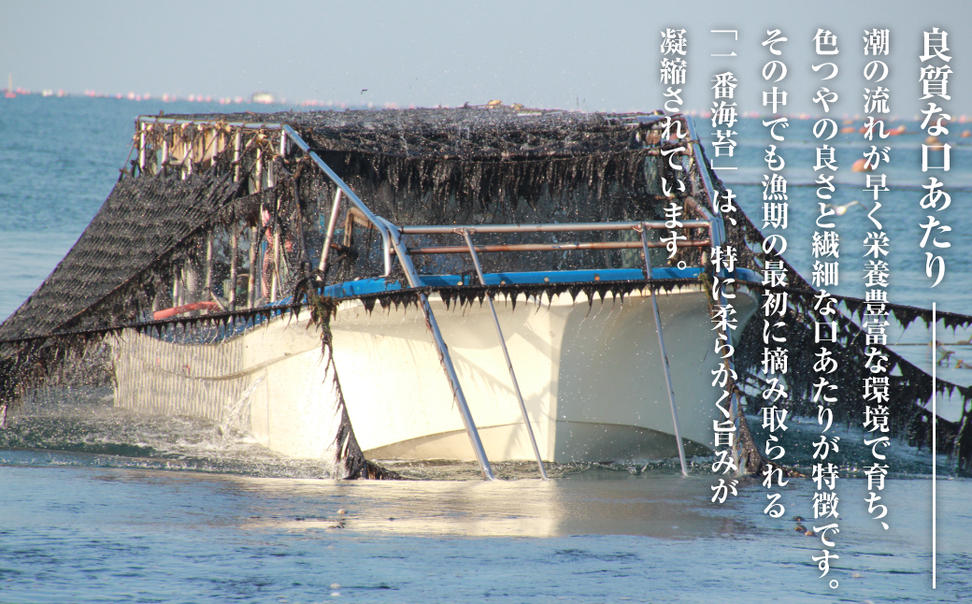 新海苔使用 焼きのり （板のり10枚）×5袋