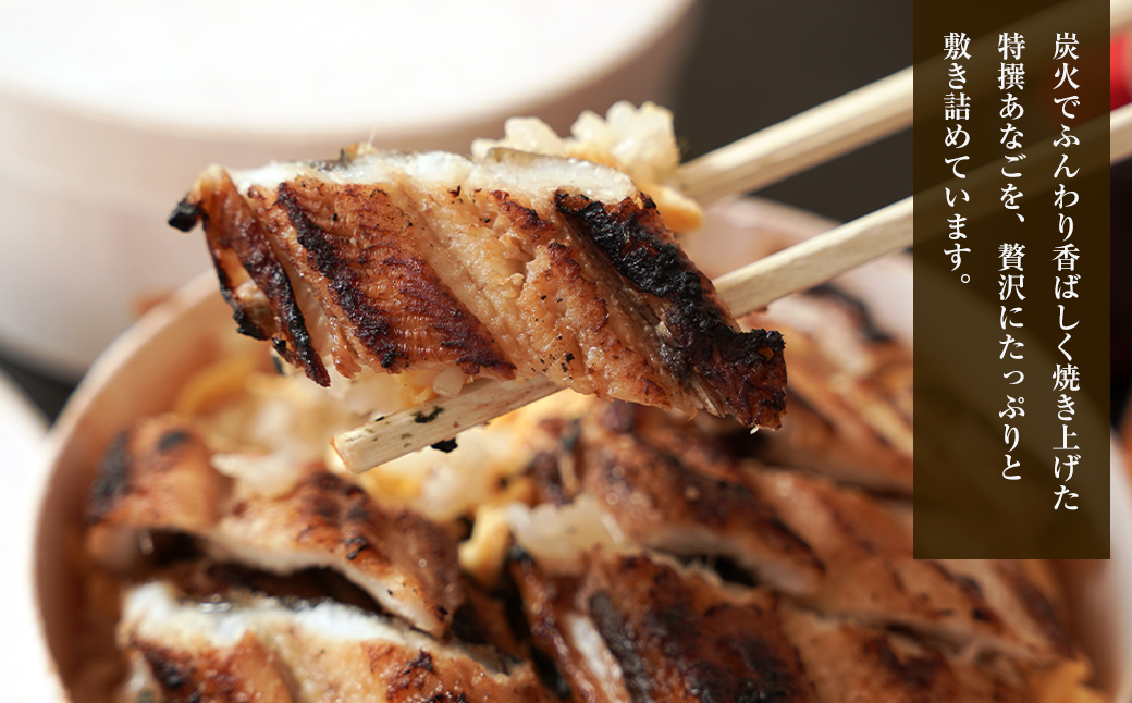 特撰あなご丼 わっぱ入り ２食セット 冷凍