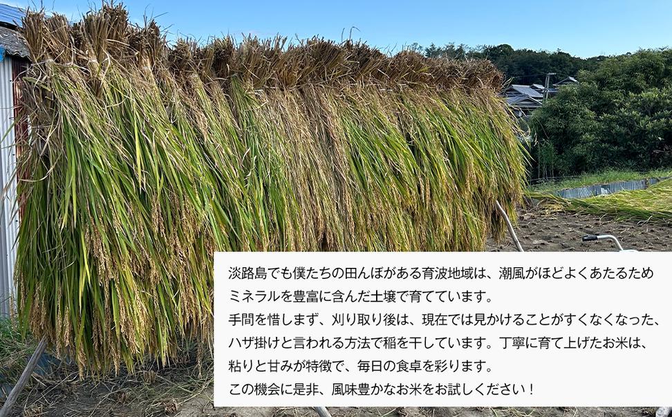 自然栽培もち米　はりまもち（白米）　3kg