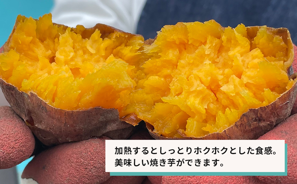 【産地直送】紅はるか（淡路島産）土付き　約5kg　不揃い