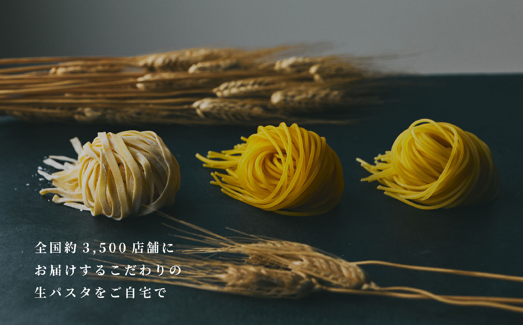 【淡路島生パスタ】淡路麺業の生パスタと特製ソース6食セ