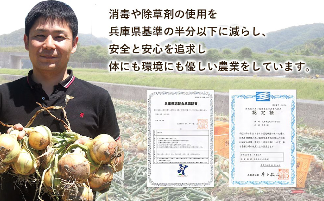 淡路島の牛肉とたまねぎ使用　今井ファームビーフカレー