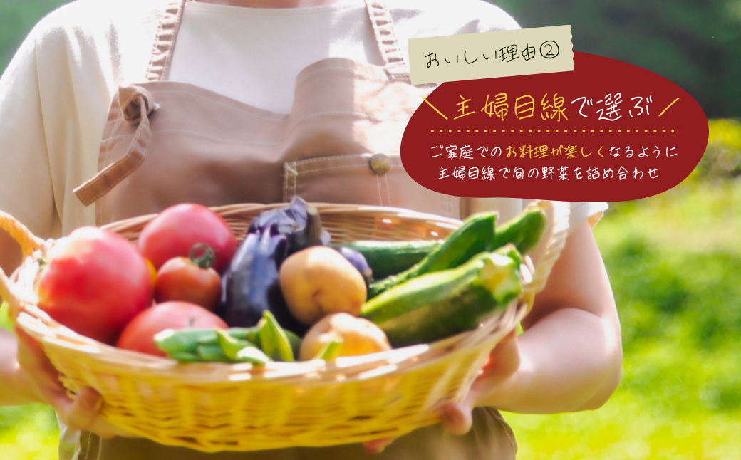 【定期便】淡路島の旬の野菜セット　３ヶ月コース（月１