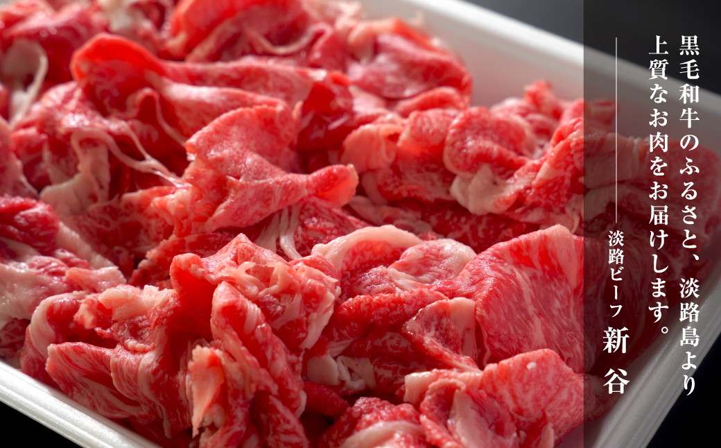 淡路ビーフ きりおとし 600g【お届け日指定返礼品】　[牛肉 