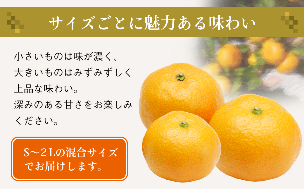 片山農園の淡路島みかん(温州みかん)7.5kg【サイズいろいろS