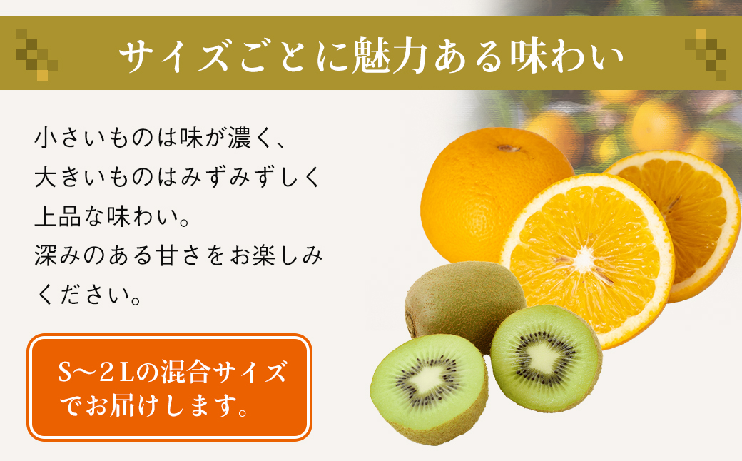 片山農園の淡路島のはっさく2.5kgとキウイ2.0kg【サイズいろ