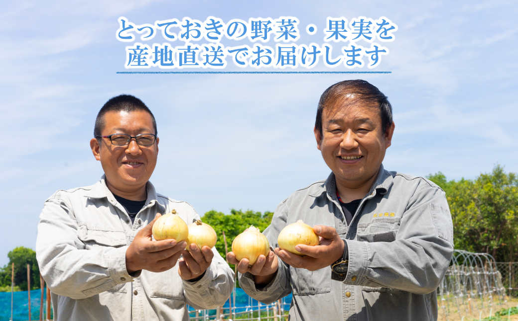 【新たまねぎ】名手農園の淡路島特産玉ねぎ(5kg)とお米(3kg)