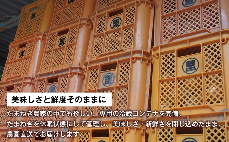 淡路島たまねぎ（10キロ）　玉ねぎ 産地直送 甘い