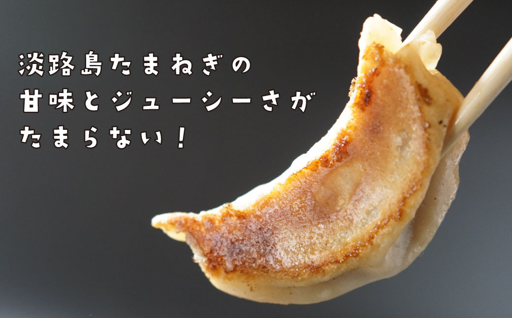 淡路島たまねぎたっぷりジューシー餃子 100個（20ｇ×20個×5P