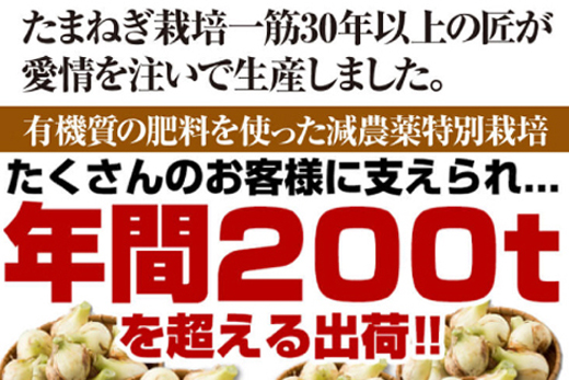 【新たまねぎ】今井ファームの淡路島たまねぎ「かくし玉