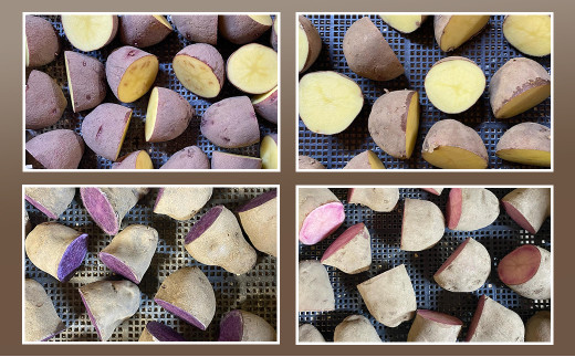 淡路島産じゃがいもセット 5kg【栽培期間中、無農薬栽培】