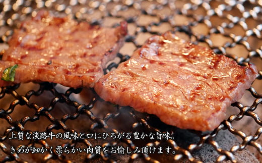 淡路牛ロース焼肉 500g（250g×2PC）　　[冷凍 霜降り 焼肉セッ