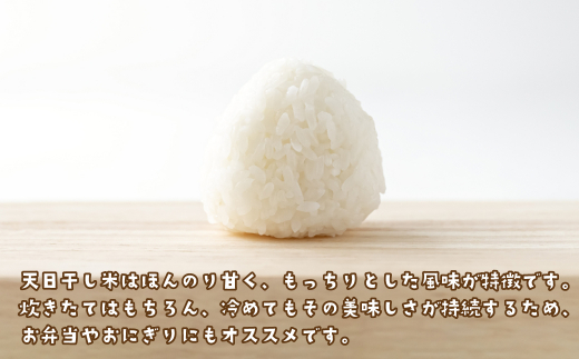 健幸農園の天日干し米10kg　[精米 白米]