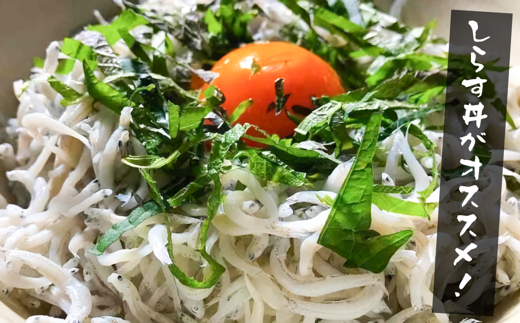 【訳あり】淡路島・藤本水産 しらす釜揚げ 業務用サイズ1kg