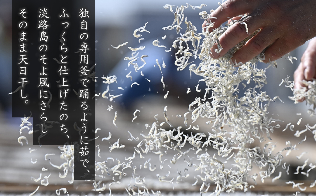 【訳アリ】淡路島産 無選別ちりめん 600g（100g×6袋）