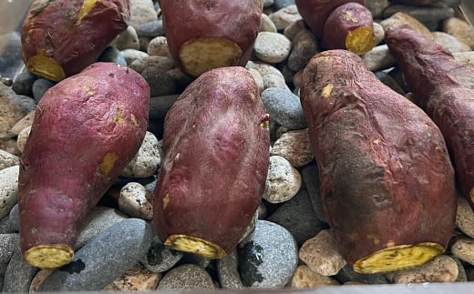 【訳アリ】淡路島産サツマイモ 5kg【栽培期間中、無農薬栽