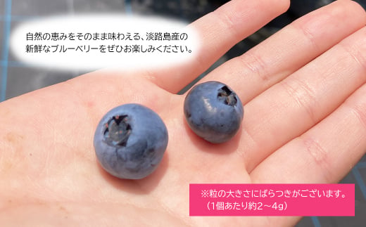 【淡路島産】大粒ブルーベリー 700g 冷凍生果《栽培期間中