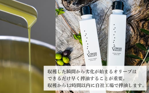 20本セット！「Virgin Valley 淡路阿利布」182ｇ（エキストラバ