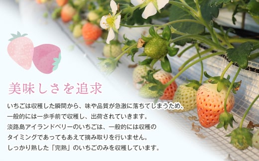 淡路島アイランドベリー　白苺淡雪　Mサイズ【2026年3月発