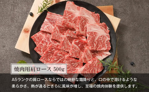 【定期便3ヶ月】【A5ランク限定】淡路島産黒毛和牛 贅沢定