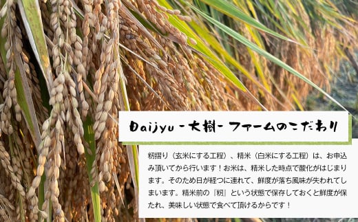 自然栽培　コシヒカリ（玄米）　5kg 《無選別品のため訳ア