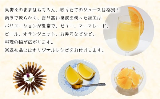 淡路島なるとオレンジ 4kg 【発送時期2026年3月～4月頃】