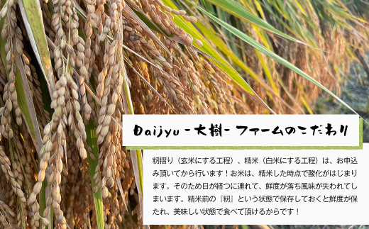 【定期便6ヶ月】自然栽培　ひのひかり（玄米）　5kg 《無選