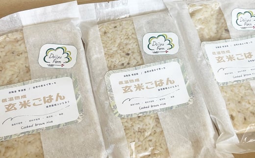 レトルトごはん（玄米） 10パックセット 化学調味料無添加