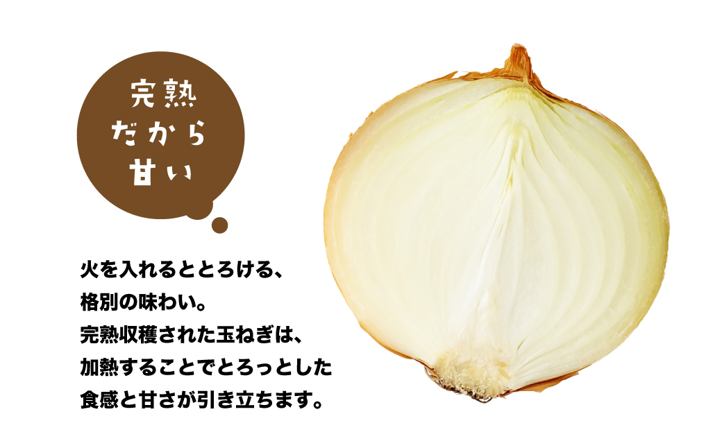 健幸農園の完熟淡路島産玉ねぎ 5kg　　[たまねぎ 産地直送 