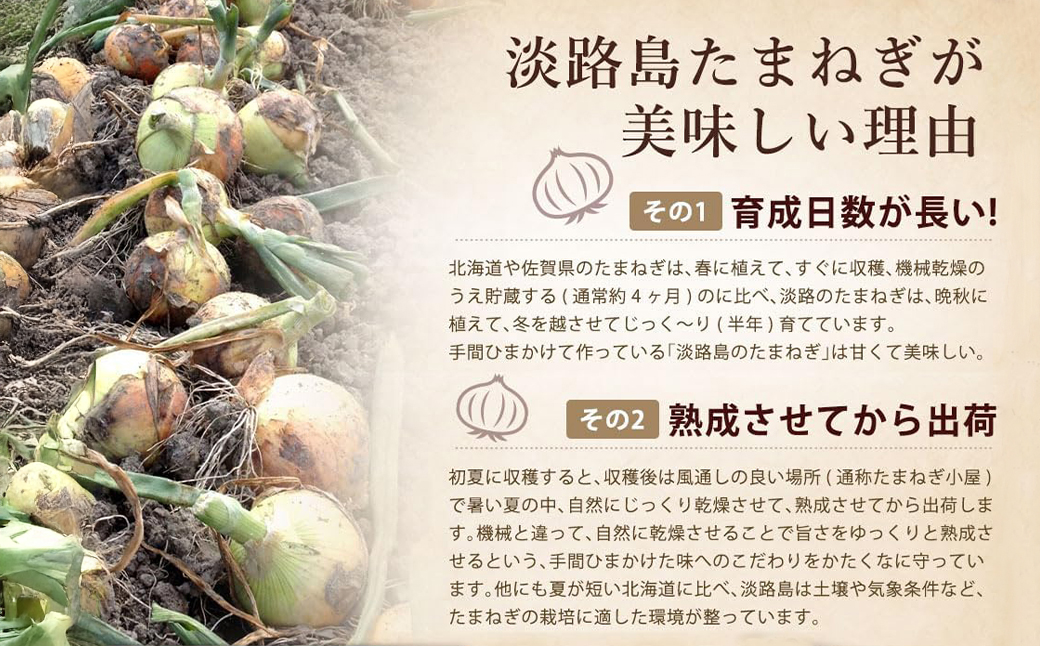 今井ファームの淡路島たまねぎ加工品福袋　《たまねぎス