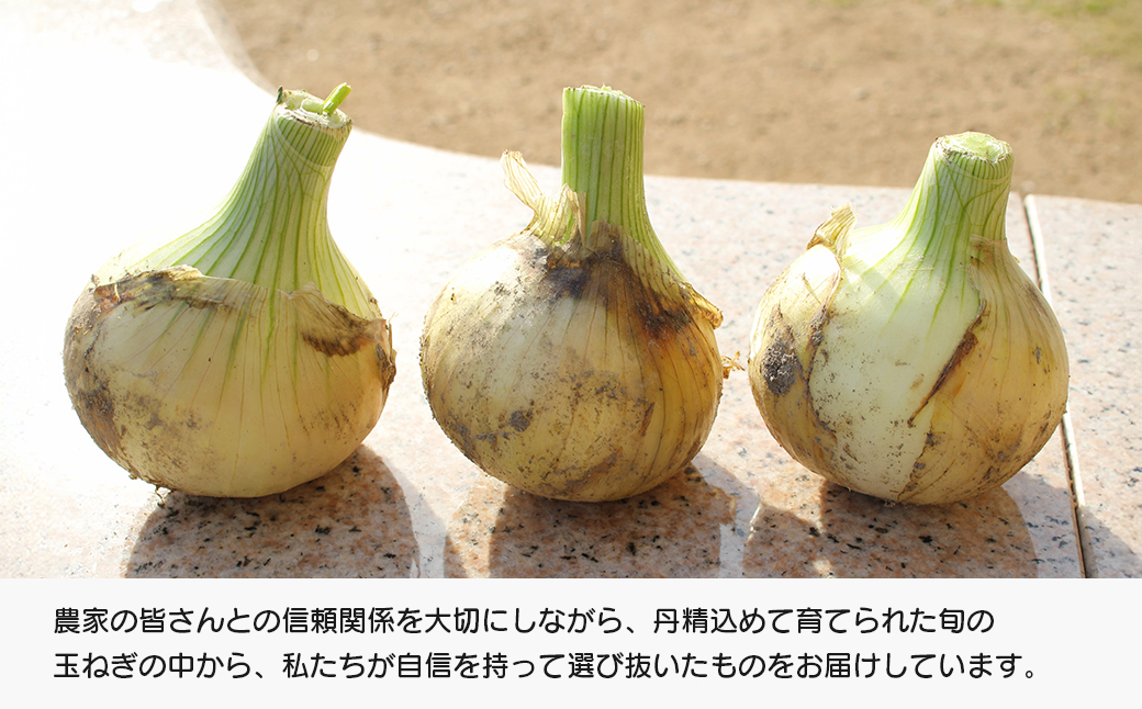 道の駅あわじ厳選新玉ねぎ５kg【発送時期2026年5月頃】