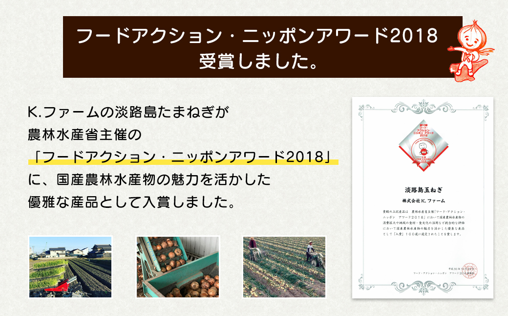 【新たまねぎ】淡路島たまねぎ 大きな2Lサイズ 3kg【発送時