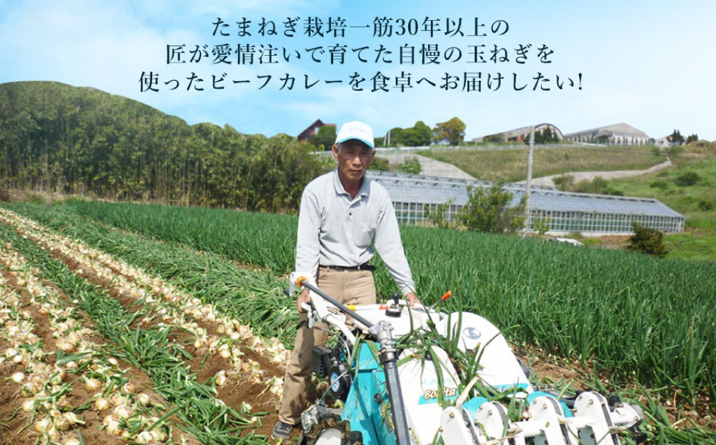 淡路島の牛肉とたまねぎ使用　今井ファームビーフカレー