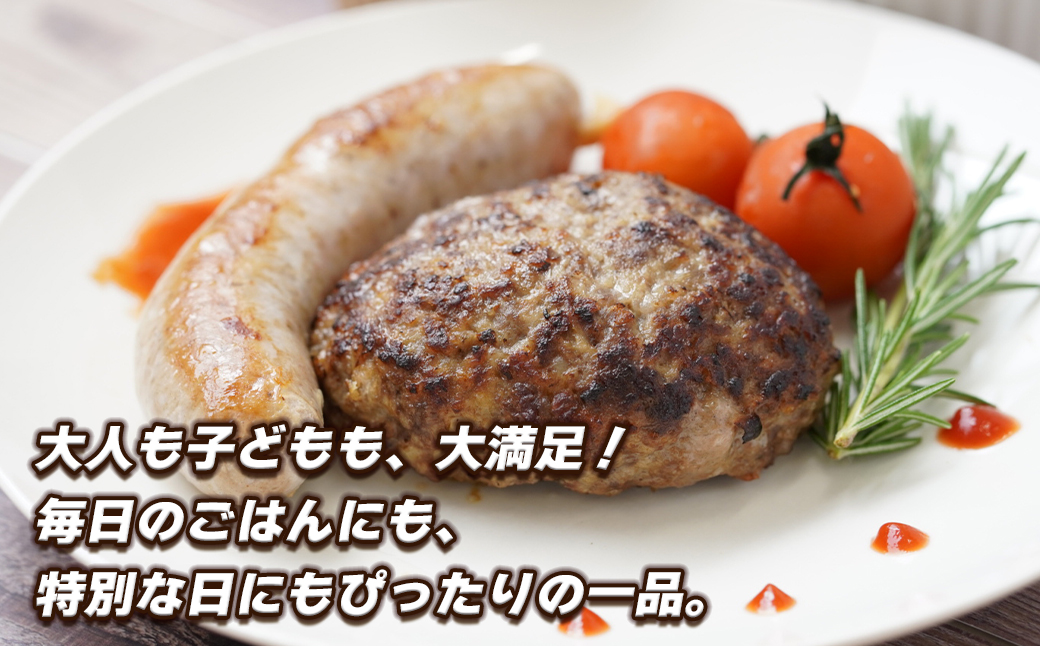 生ポークソーセージ　100g×15本入り　[冷凍食品 豚肉 特大]