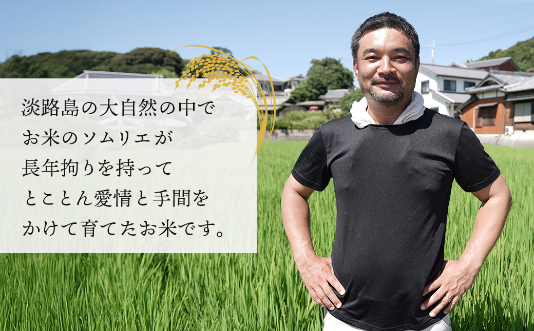 【定期便】野添農園のキヌヒカリ 5kgｘ6ヶ月「ひょうご安心