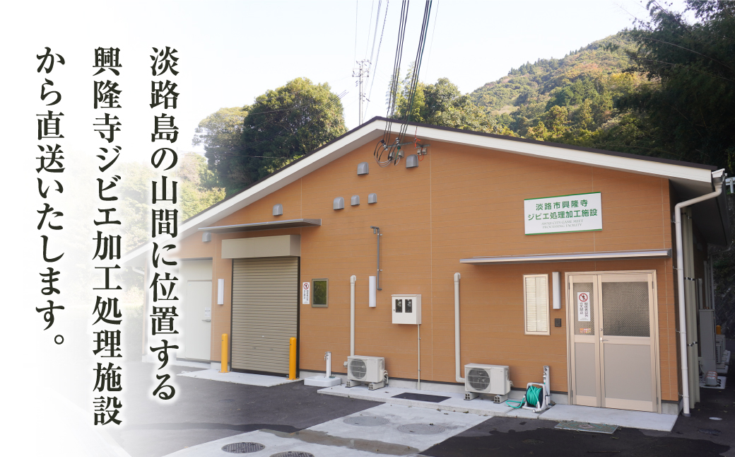 淡路産 猪肉スライス ５００ｇ　　[ジビエ 猪 ぼたん鍋 小